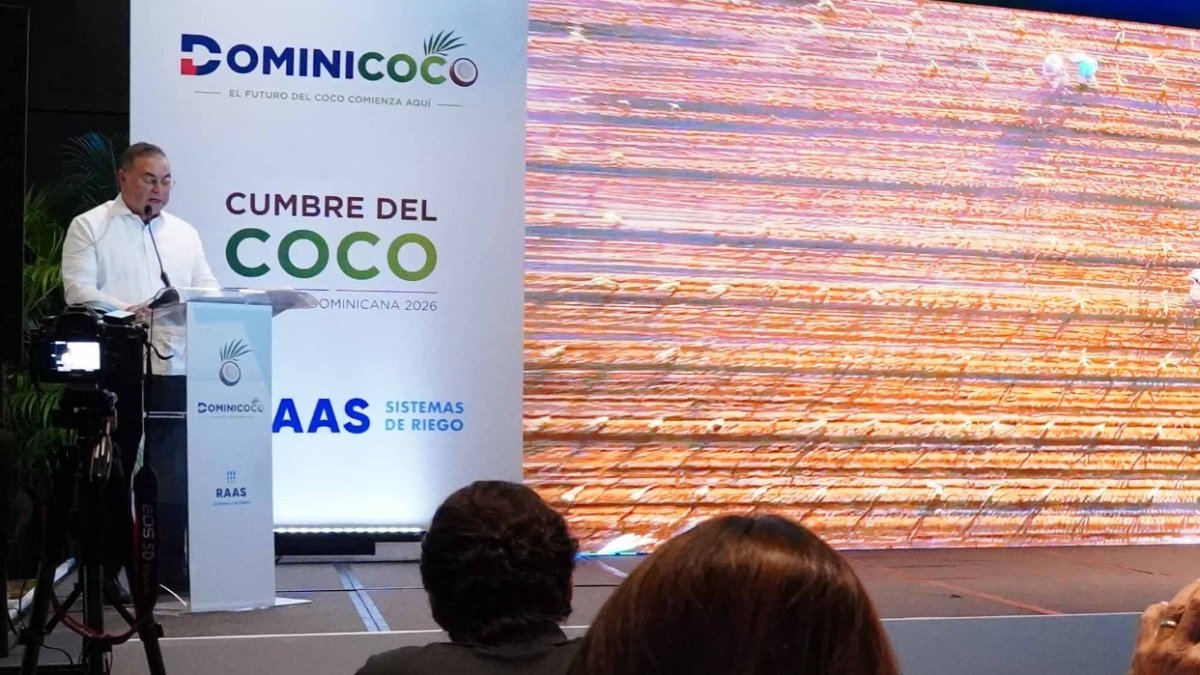 Producción de coco en RD: Oportunidades de crecimiento
