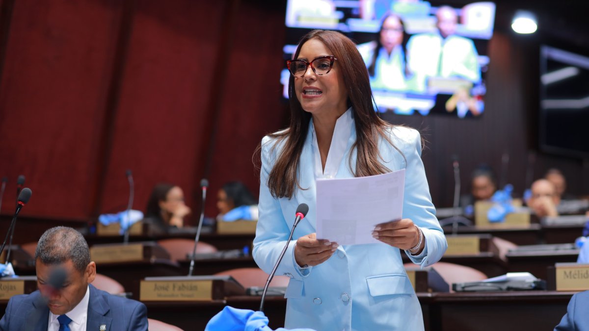 Exigen al MINERD informe sobre planteles pendientes y resultados de su plataforma digital