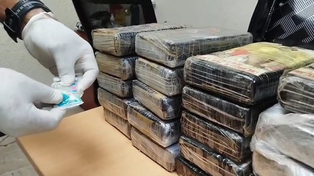 Imágenes de la evidencia