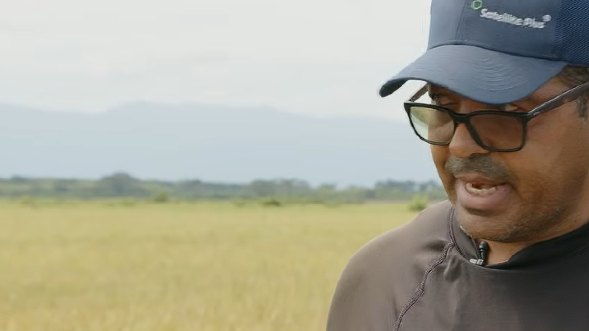 Productores de arroz en incertidumbre por apertura comercial con EE.UU.