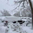 Circulación de vehículos