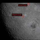 Integrity y Carroll.