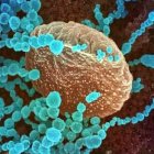 Delta plus. Fuente externa. 