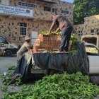 WhatsApp-Image-2021-10-30-at-11.23.54-AM-2