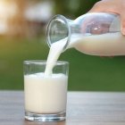 vaso-de-leche-ayunas-organismo-1140×703