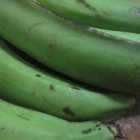 2D_Economía_13_5,p01