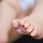 Bebé. Imagen de referencia. 