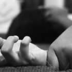 Imagen de referencia. 