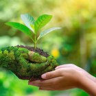 Día Mundial del Medio Ambiente: Importancia de la protección de los derechos en emergencias climáticas