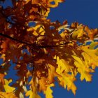 Equinoccio de otoño (Fuente externa)