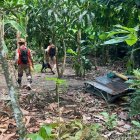 Unidad canina busca a Brianna Genao