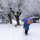 Una mujer pasea con su perro en una urbanización en Alpedrete, este miércoles. EFE/Sergio Pérez