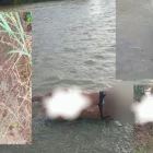 Las autoridades federales realizan redadas para detener a inmigrantes en el archipiélago, que es un Estado Libre Asociado a EE.UU., y calculan que hay unos 20.000 indocumentados.