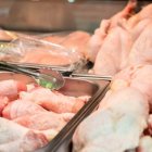 Carne de pollo