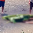 El cuerpo de la adolescente Yosnely Álvarez fue localizado en la toma de Pontón