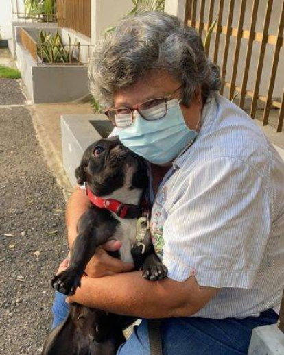 Fotos | Rescatan a Truffa, perrita que fue pateada por un hombre en Bella Vista,Fotos | Rescatan a Truffa, perrita que fue pateada por un hombre en Bella Vista