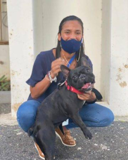 Fotos | Rescatan a Truffa, perrita que fue pateada por un hombre en Bella Vista,Fotos | Rescatan a Truffa, perrita que fue pateada por un hombre en Bella Vista