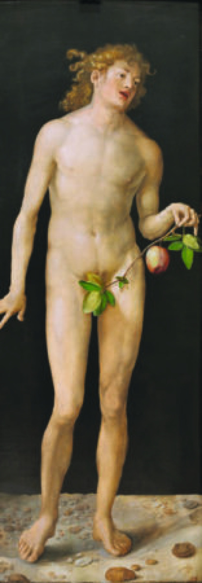 Cuerpo (des)vestido,Cuerpo (des)vestido