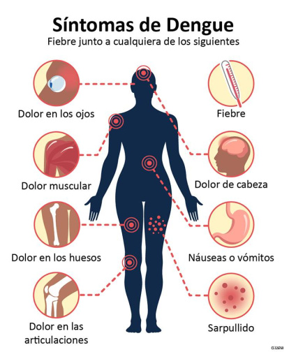 Dengue: 8 respuestas a tus principales preguntas,Dengue: 8 respuestas a tus principales preguntas