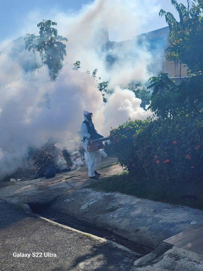 Dengue: 8 respuestas a tus principales preguntas,Dengue: 8 respuestas a tus principales preguntas