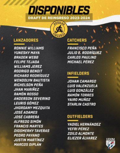 Lidom: ¿Qué jugadores están disponibles para el Draft de Reingreso?,Lidom: ¿Qué jugadores están disponibles para el Draft de Reingreso?