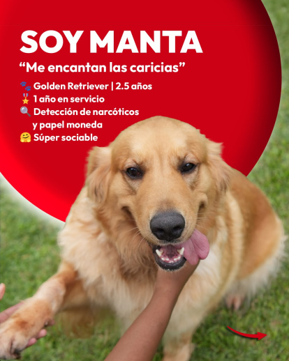 Día Mundial de Perro