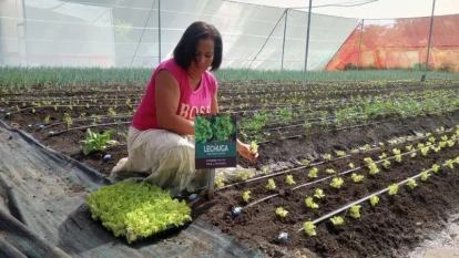 The Dominican Dioris Rijo, together with the members of her community, have developed an agricultural business that changed their lives.