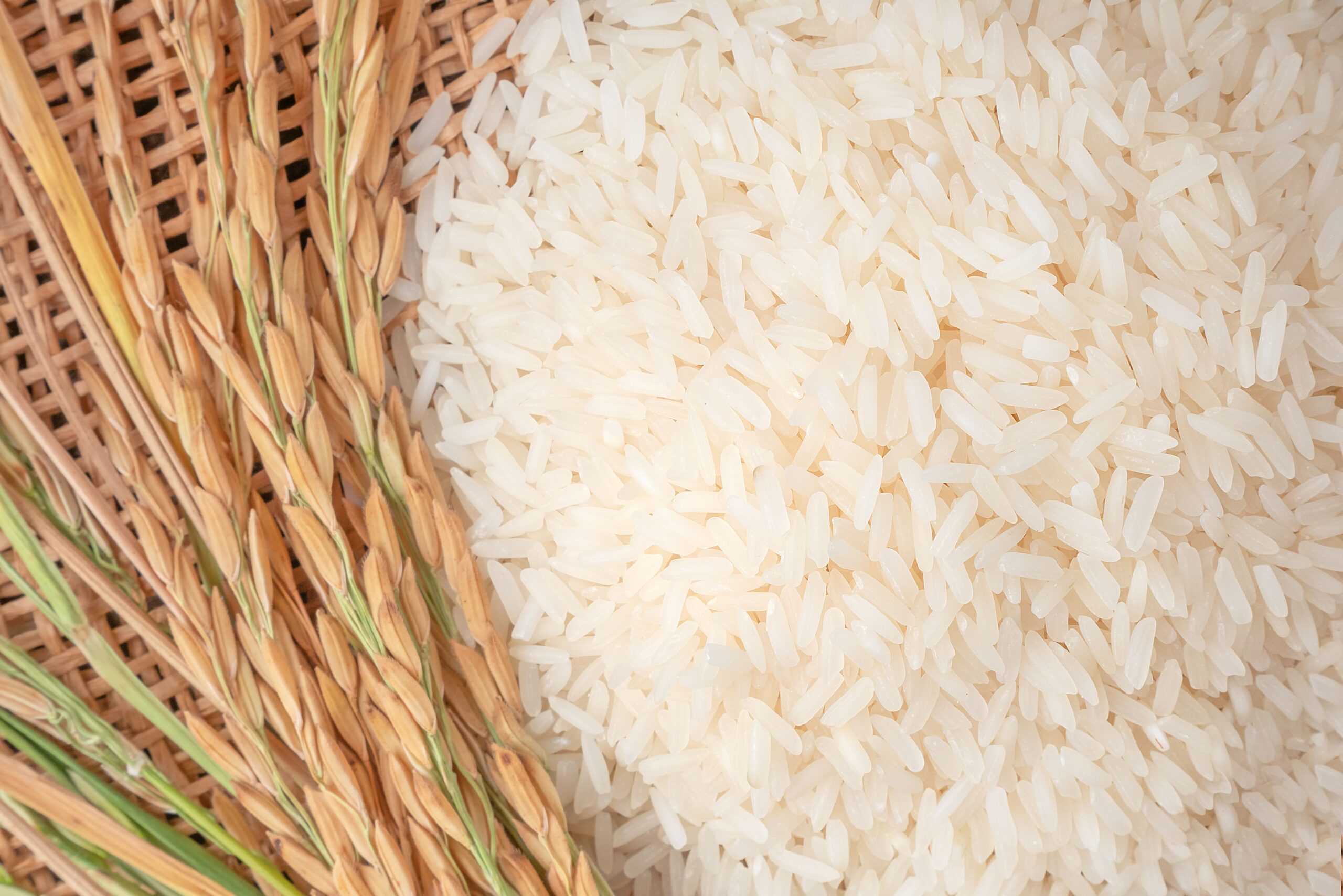 arroz-1-scaled