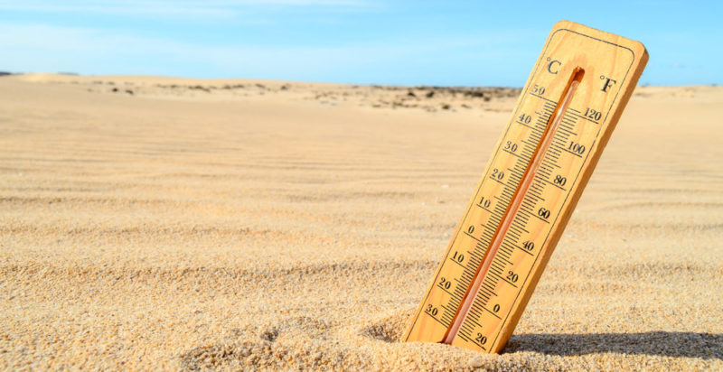 Clima cálido en América Latina y el Caribe. Fuente externa