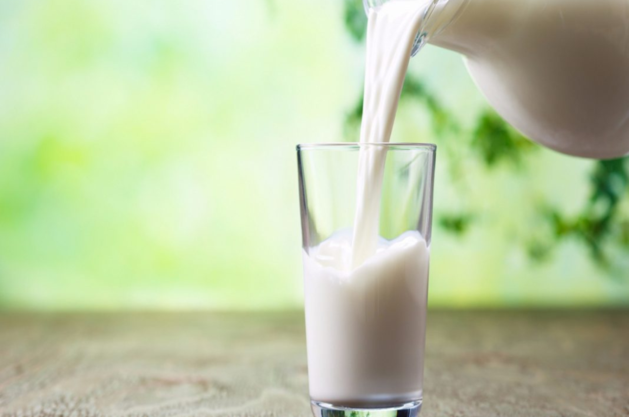 La leche es uno de los alimentos de mayor contenido nutricional, recomendada tanto en los niños como  en los adultos,