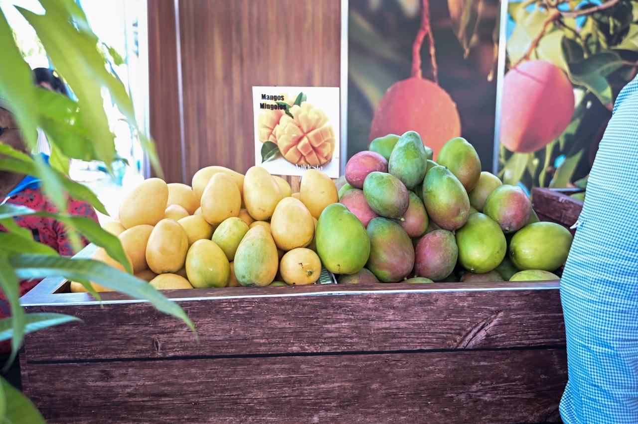 Expo Mango 2026