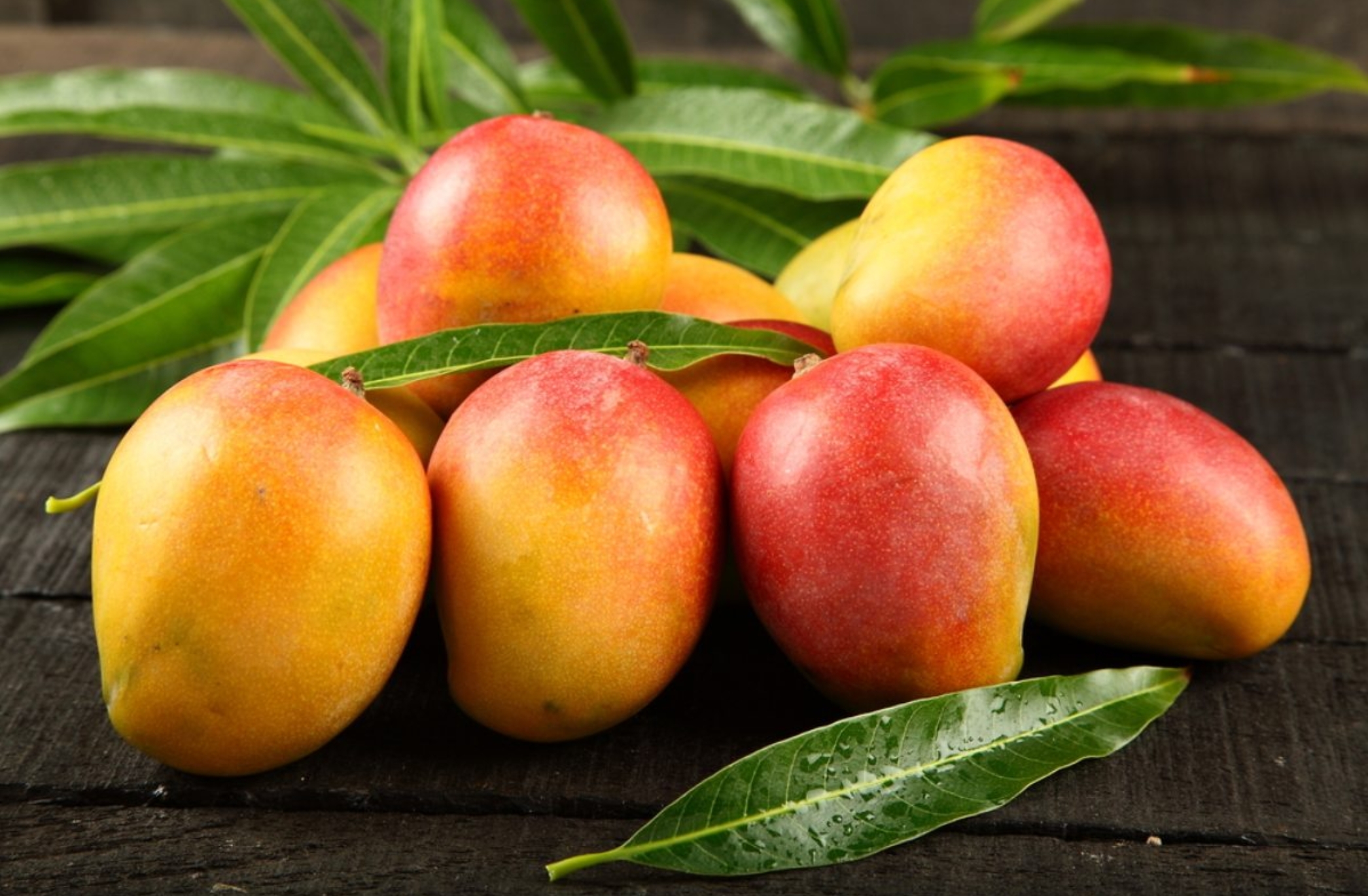 El mango es una de esas frutas que gustan a prácticamente todo el mundo. Y, además de exquisita su consumo es súper beneficiosos.