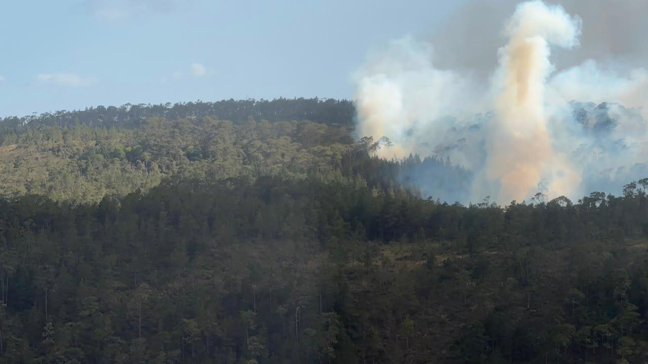 Foto del lunes pasado cortesía del Ministerio de Medio Ambiente y Recursos Naturales.