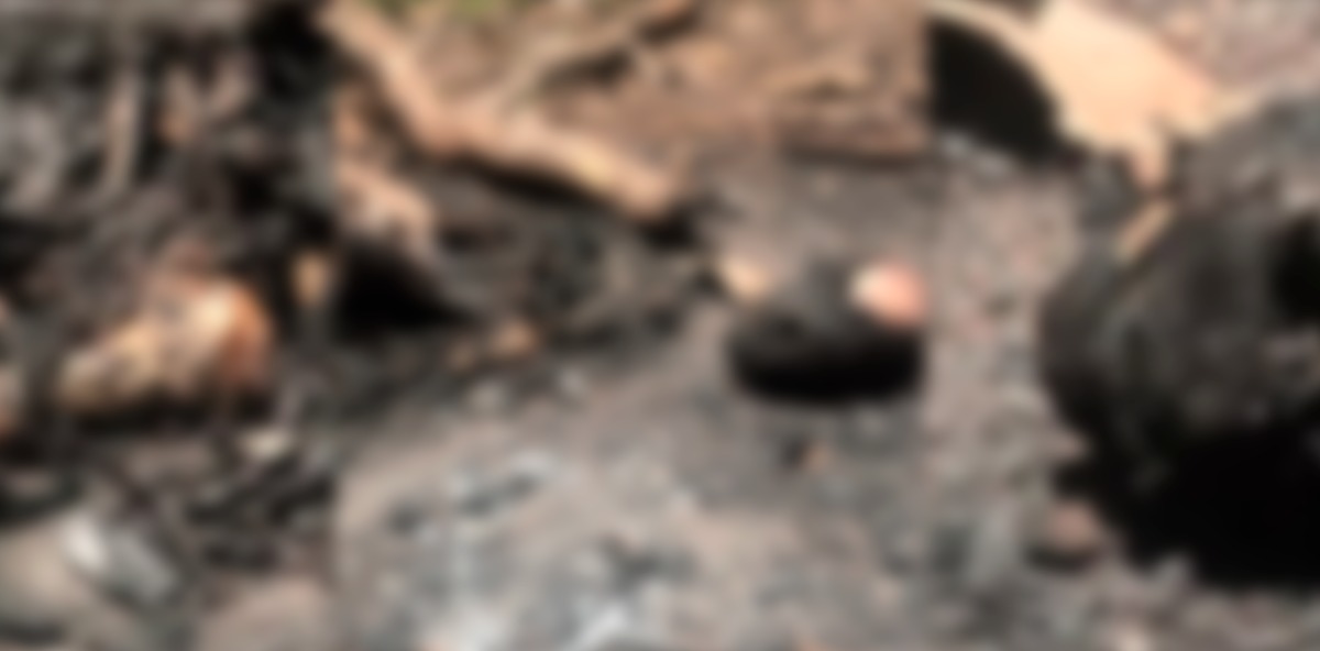 Huesos, cráneo y columna vertebral son hallados entre restos calcinados en Dajabón