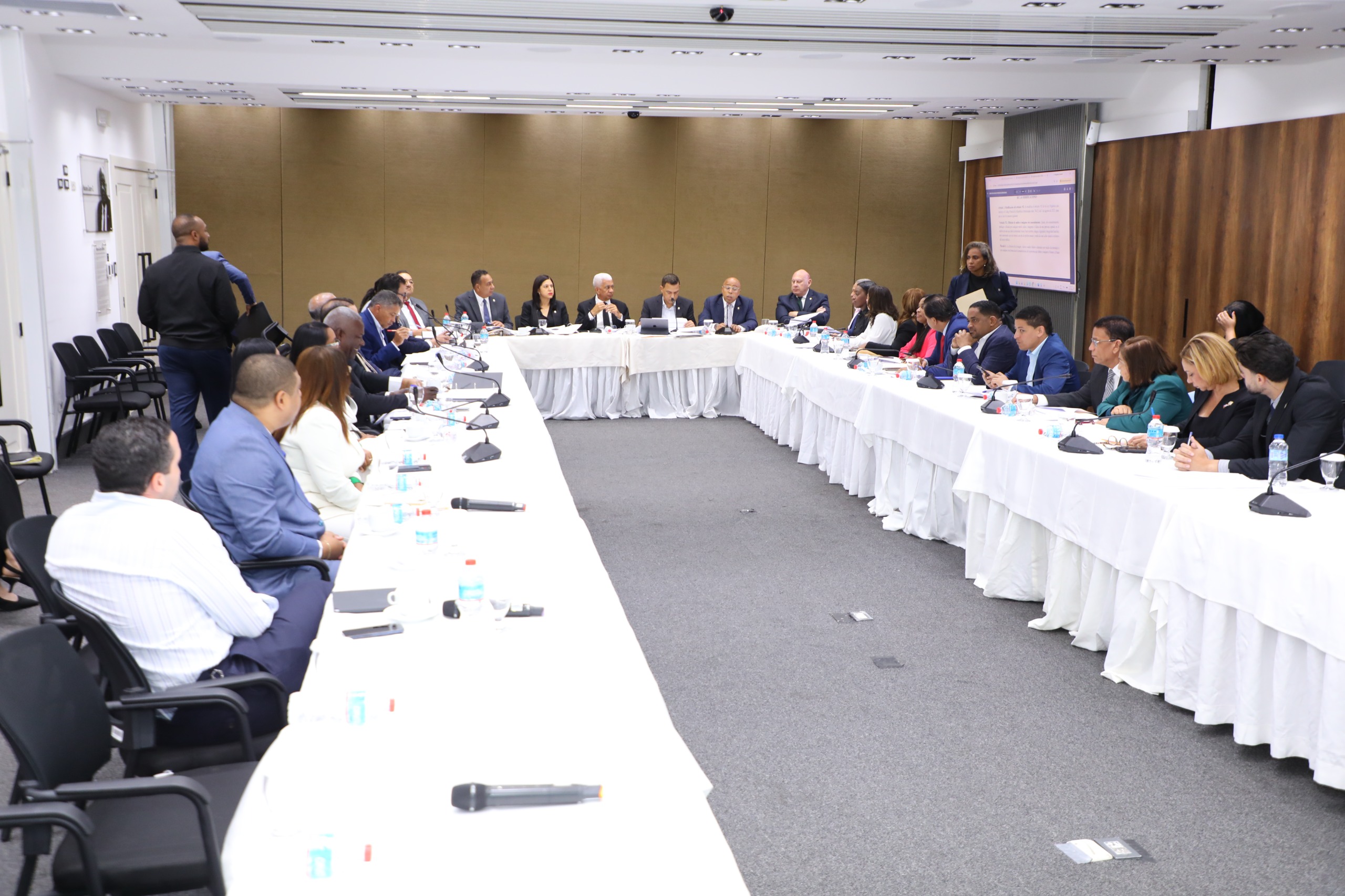 Comisión Bicameral que estudia nuevo Código Penal
