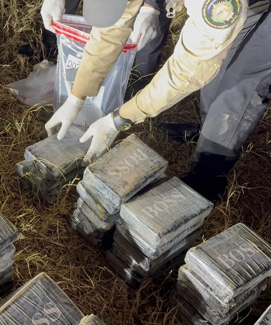 La droga incautada.