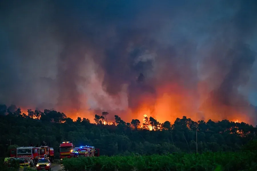 Los incendios han afecado a más de 32 hectáreas.