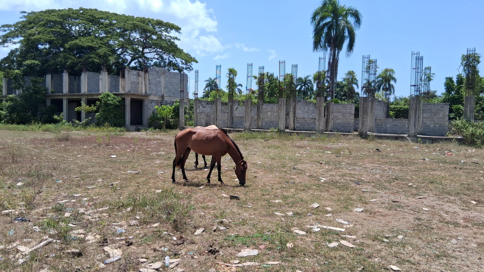 La ADP en Cotuí reclamó la terminación de varias escuelas.