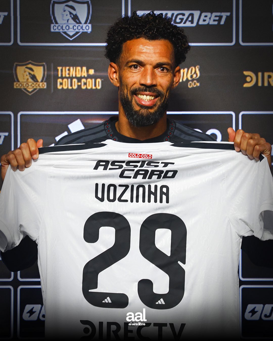 Vozinha
