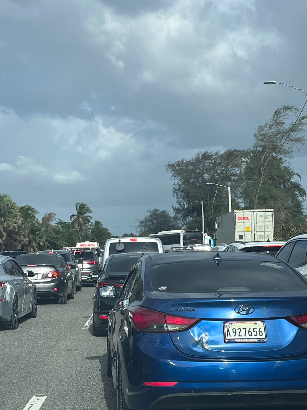 Caída de un árbol genera severo congestionamiento en la autopista Las Américas