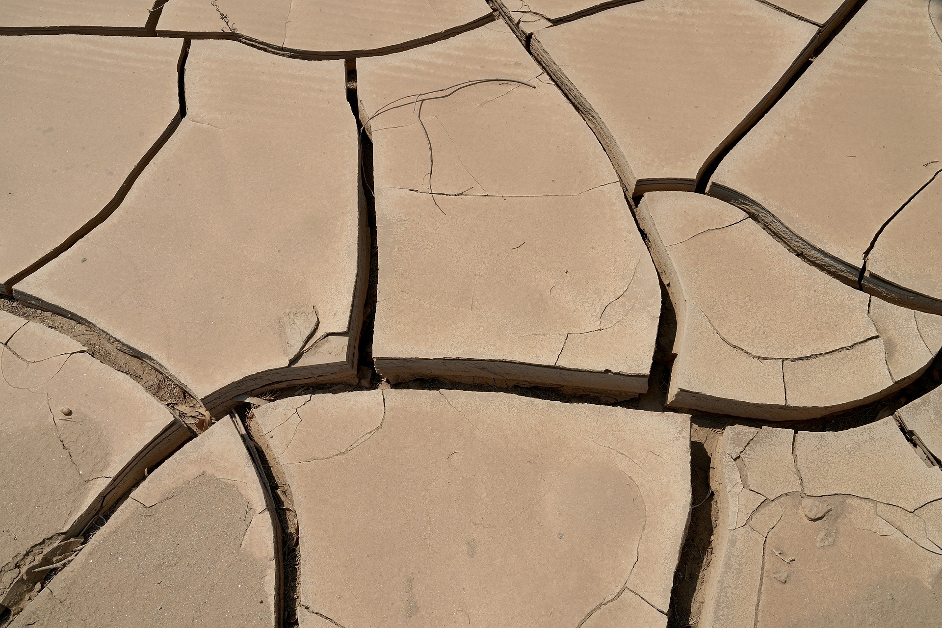 Temblor tierra
