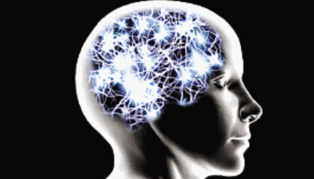 Cerebro