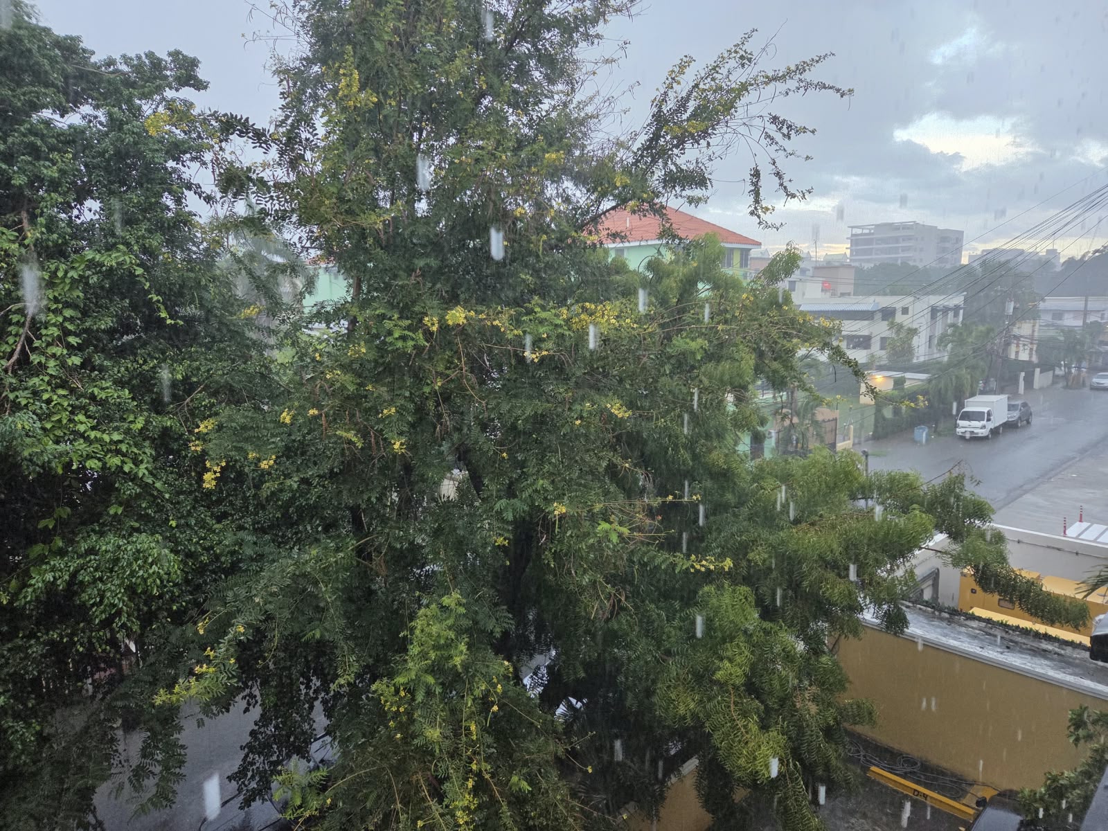 Aguaceros marcan la tarde de este sábado