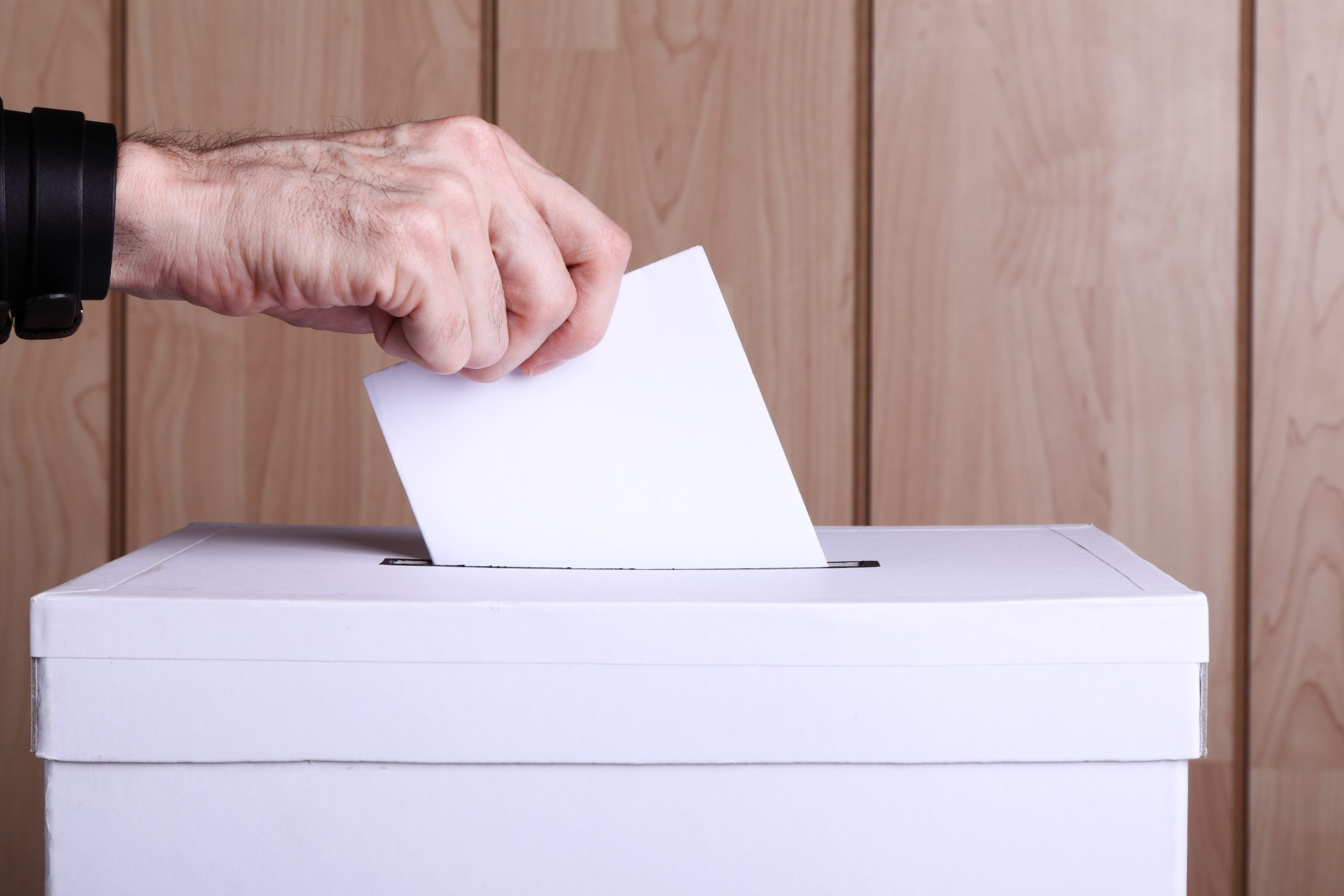 Elecciones